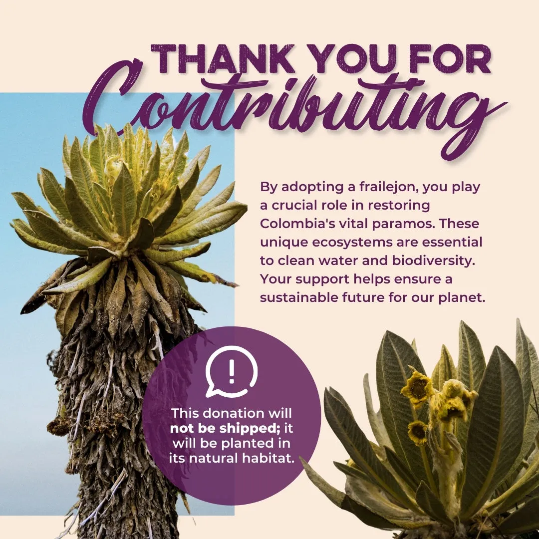 ADOPT A FRAILEJON