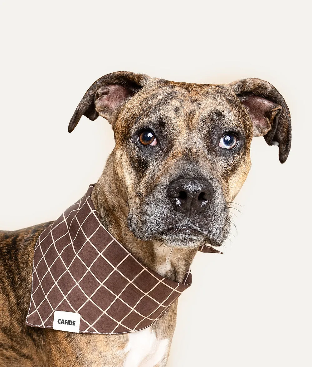 Bandana Perro Diseño Líneas Marrón, Nata