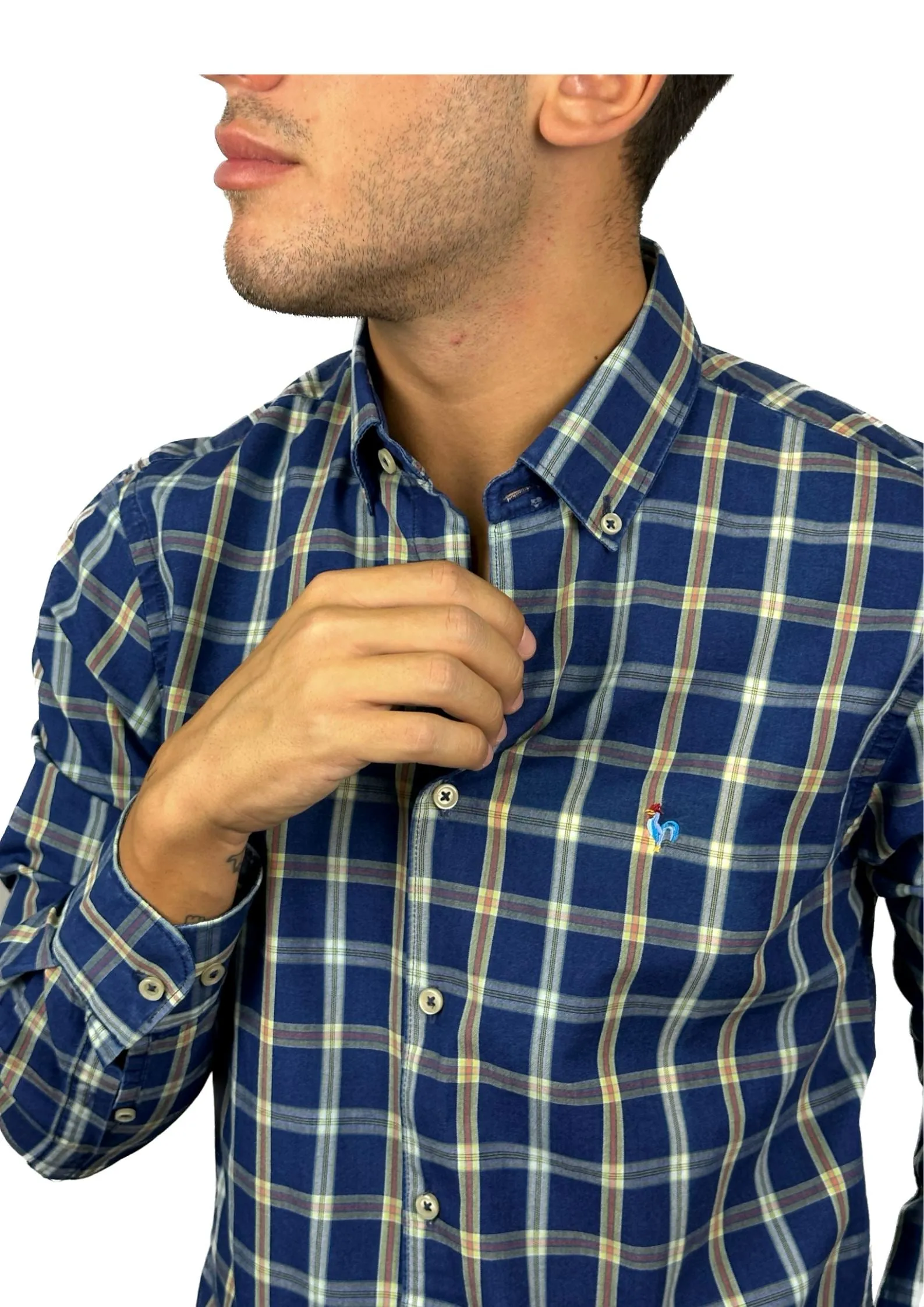 Camisa Patadegayo Perry